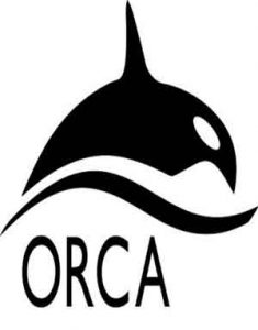 Download ORCA 5.0.1 Linux