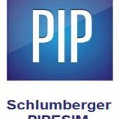 Download Schlumberger PIPESIM 2023.1 Build 615 + Crack