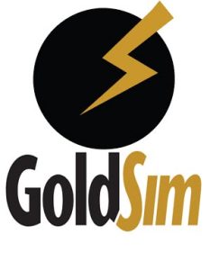 Download GOLDSIM 2022
