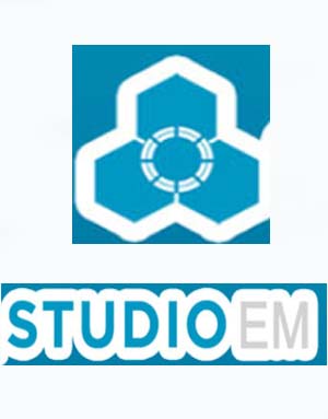 Download Datamine Studio EM