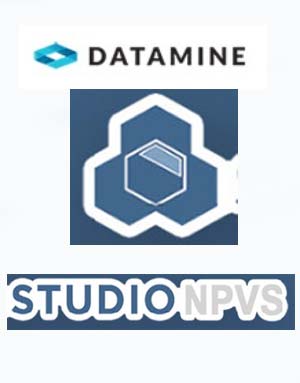 Download Datamine Studio NPVS