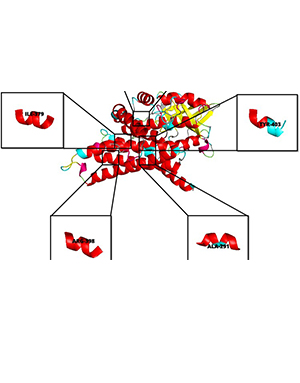 Download Learn Molecular Dynamics from Scratch: Molecular dynamics using GROMACS