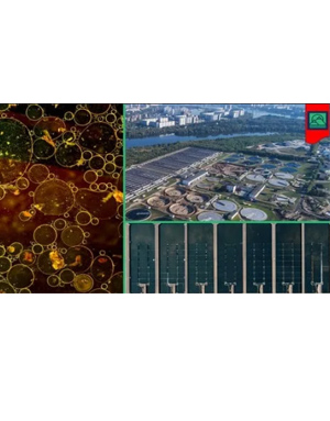 Download Introduction to Wastewater Treatment