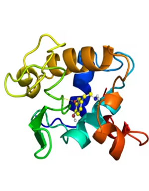 Download Structural Bioinformatics: Molecular Docking Masterclass 2025