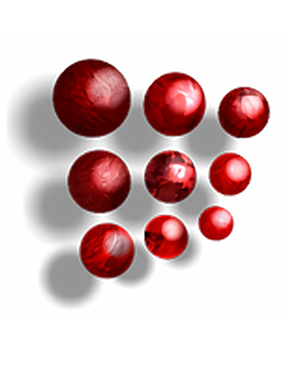 Download MatCalc 6.11.0.051