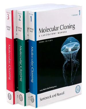 Download Molecular Cloning: A Laboratory Manual 3rd Edition