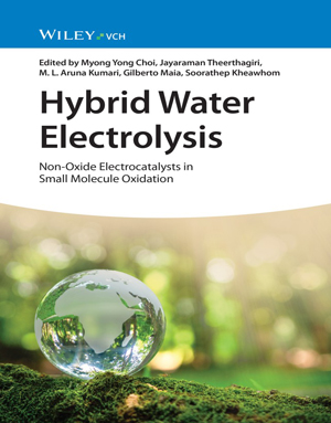 Download Hybrid Water Electrolysis: Non-Oxide Electrocatalysts